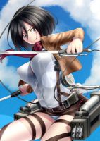 attack_on_titan_-_mikasa_20130914_104.jpg